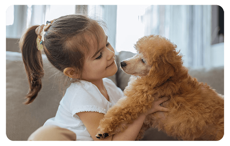 Indoor Air Quality | Infinity Texas Air