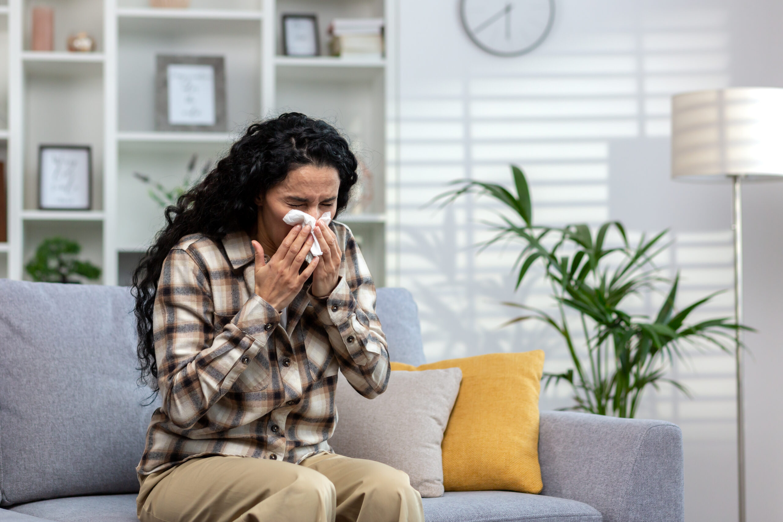 Woman with allergy sneezes sitting on sofa in living room, Latin American sick woman wipes nose with tissue at home